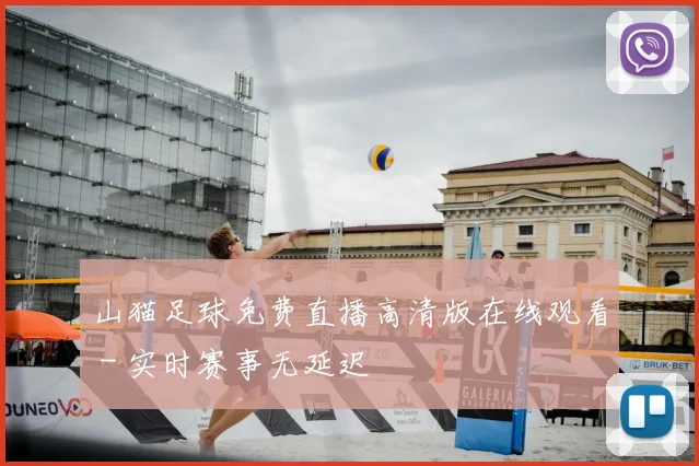 山猫足球免费直播高清版在线观看 - 实时赛事无延迟
