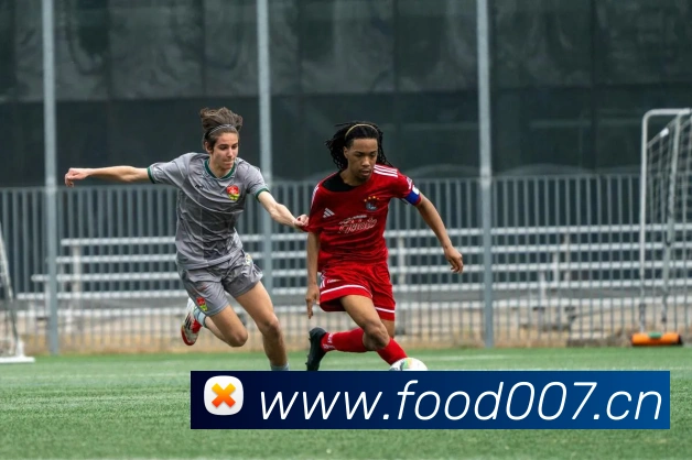 App Interface Preview